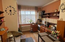 Apartament cu o cameră 40 mp, zona Gruia