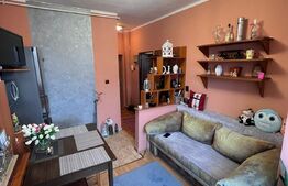 Apartament cu o cameră 40 mp, zona Gruia