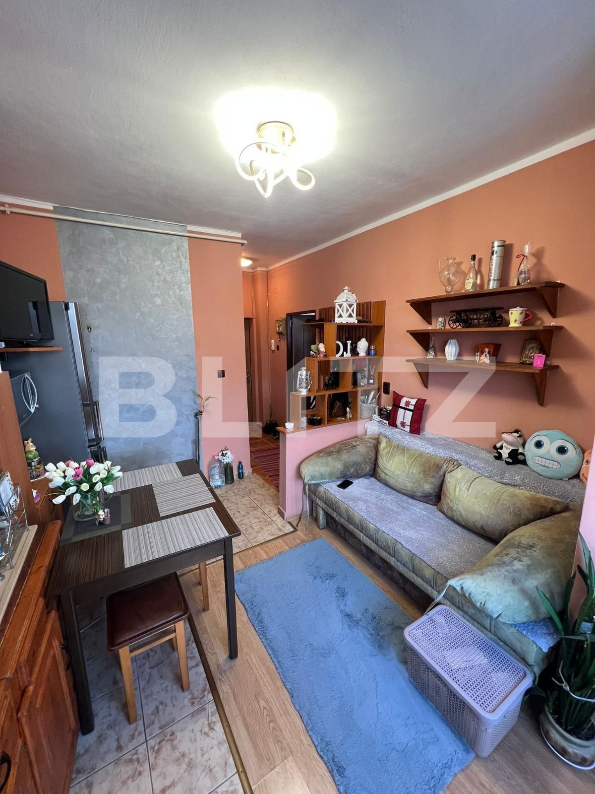 Garsonieră de vânzare Gruia - 113842AV | BLITZ Cluj-Napoca | Poza3