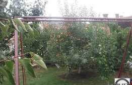 Apartament 1 camera in casa, 35 mp, curte 180 mp, boxa la subsol, zona Fierului!