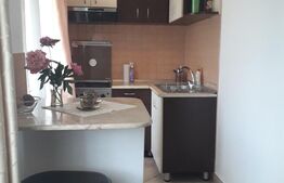 Garsoniera, 28 mp, zona strazii Observatorului