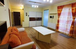 Apartament 2 camere , 63 mp , zona Stejarului + bonus 60 mp pod cu cf.
