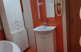 Apartament 2 camere , 63 mp , zona Stejarului + bonus 60 mp pod cu cf.