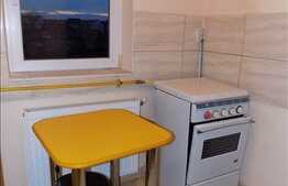 Inchiriere 1 camera, 34 mp utili cu mezanin interior, zona Byron