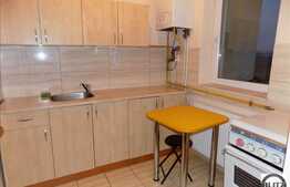 Inchiriere 1 camera, 34 mp utili cu mezanin interior, zona Byron