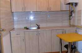 Inchiriere 1 camera, 34 mp utili cu mezanin interior, zona Byron