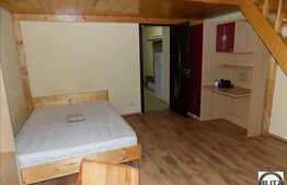 Inchiriere 1 camera, 34 mp utili cu mezanin interior, zona Byron