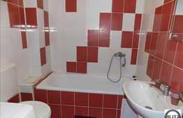 Inchiriere 1 camera, 34 mp utili cu mezanin interior, zona Byron