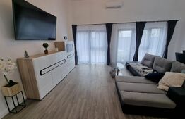 Apartament ultramodern, in vila, 28 mp, curte, in zona Dambul Rotund 