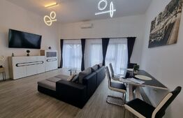 Apartament ultramodern, in vila, 28 mp, curte, in zona Dambul Rotund 