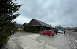 Restaurant de vanzare, clientela formata, Valea Draganului