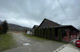 Restaurant de vanzare, clientela formata, Valea Draganului