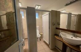 Restaurant de vanzare, clientela formata, Valea Draganului