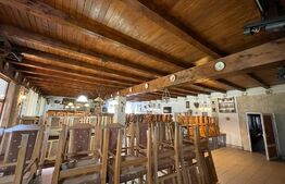 Restaurant de vanzare, clientela formata, Valea Draganului