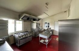 Restaurant de vanzare, clientela formata, Valea Draganului