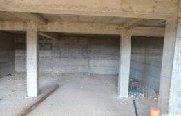 Casa individuala, 230 mp utili, 516 mp de teren, Dezmir