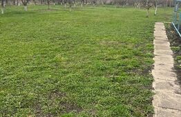 Cabana p+m cu teren de 1420 mp in Jucu de Sus