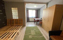 Oportunitate! Garsoniera 31 mp, preluare chiriași, zona străzii Oașului