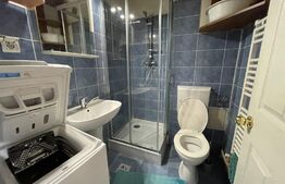 Oportunitate! Garsoniera 31 mp, preluare chiriași, zona străzii Oașului