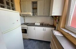 Oportunitate! Garsoniera 31 mp, preluare chiriași, zona străzii Oașului