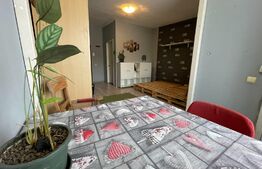 Oportunitate! Garsoniera 31 mp, preluare chiriași, zona străzii Oașului