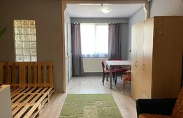 Oportunitate! Garsoniera 31 mp, preluare chiriași, zona străzii Oașului