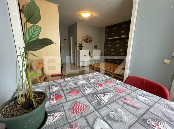 Garsonieră de vânzare Iris - 114050AV | BLITZ Cluj-Napoca | Poza11