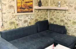  Oportunitate de moment! Apartament 1 camera, 33 mp, zona Porii! 