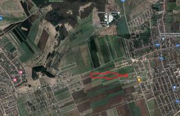 Teren, 524mp, Harman