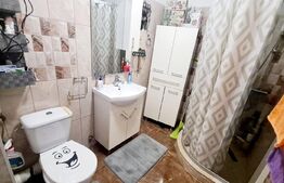 Apartament 1 camera, 32 mp, etaj intermediar, parcare, zona Porii