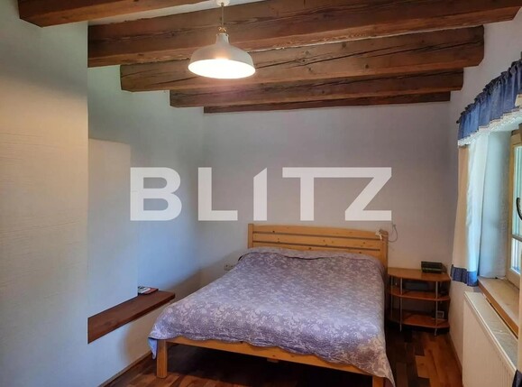 Casa de închiriat 4 camere Făget - 114109CI | BLITZ Cluj-Napoca | Poza10