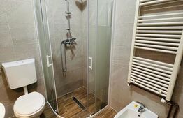 Casa de inchiriat, 3 camere, bucatarie, 3 parcari, zona Horea 