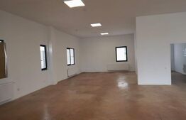 Spatiu comercial, 220mp, vad bun, zona Gilau