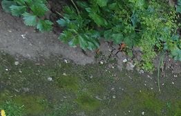 Casa individuala, 80 mp utili, teren 200mp, 3 camere, zona Farmec