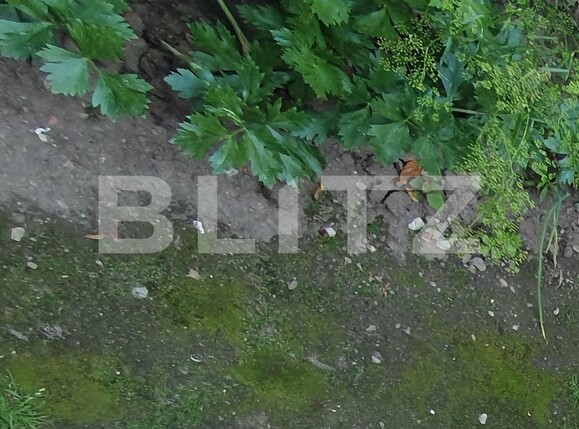 Casa de vânzare 3 camere Marasti - 114129CV | BLITZ Cluj-Napoca | Poza7