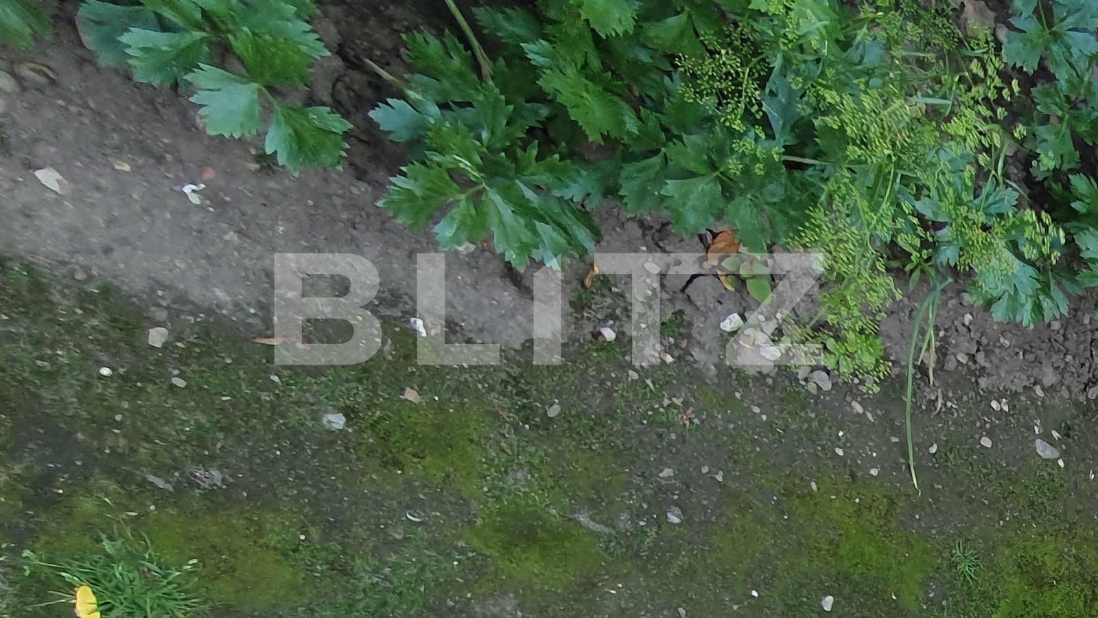 Casa de vânzare 3 camere Marasti - 114129CV | BLITZ Cluj-Napoca | Poza7