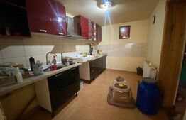 Casă individuală 5 camere, 206 mp, curte 647 mp, situată în Suceagu