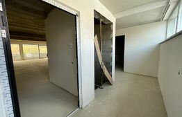 Penthouse 5 camere, 4 bai, 237 mp, terasa 540 mp, zona Baciu