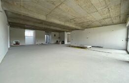 Penthouse 5 camere, 4 bai, 237 mp, terasa 540 mp, zona Baciu