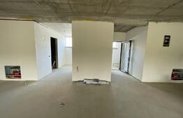 Penthouse 5 camere, 4 bai, 237 mp, terasa 540 mp, zona Baciu