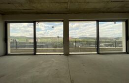 Penthouse 5 camere, 4 bai, 237 mp, terasa 540 mp, zona Baciu