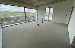 Penthouse 5 camere, 4 bai, 237 mp, terasa 540 mp, zona Baciu