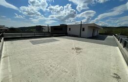 Penthouse 5 camere, 4 bai, 237 mp, terasa 540 mp, zona Baciu