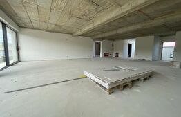 Penthouse 5 camere, 4 bai, 237 mp, terasa 540 mp, zona Baciu