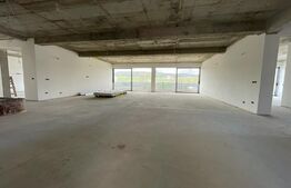 Penthouse 5 camere, 4 bai, 237 mp, terasa 540 mp, zona Baciu