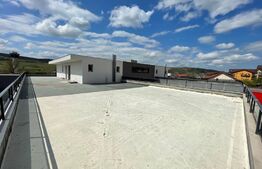 Penthouse 5 camere, 4 bai, 237 mp, terasa 540 mp, zona Baciu