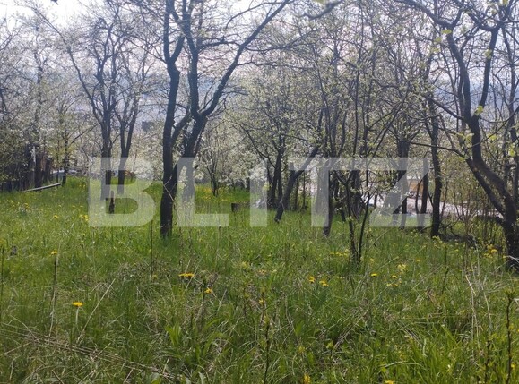 Casa de vânzare 2 camere Grigorescu - 114210CV | BLITZ Cluj-Napoca | Poza1