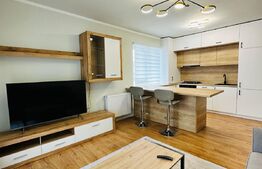 Apartament modern la cheie, 2 gradini, parcare, zona Cetatii!!
