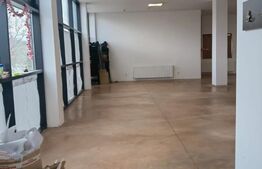 Spatiu comercial, 220 mp, zona Gilau