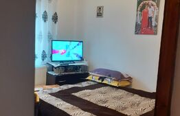 Apartament 2 camere, 40 mp, renovat si mobilat, semidecomandat zona Sacele